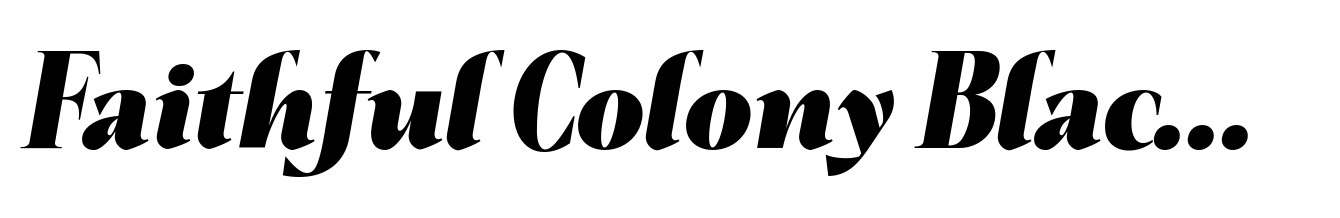 Faithful Colony Black Italic